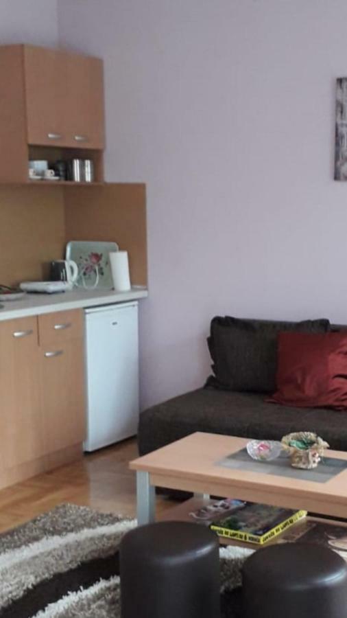 Apartmani V&F Vrnjačka Banja Esterno foto